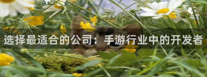 汇丰娱乐加拿大在线上分：选择最适合的公司：手游行业中的开发者