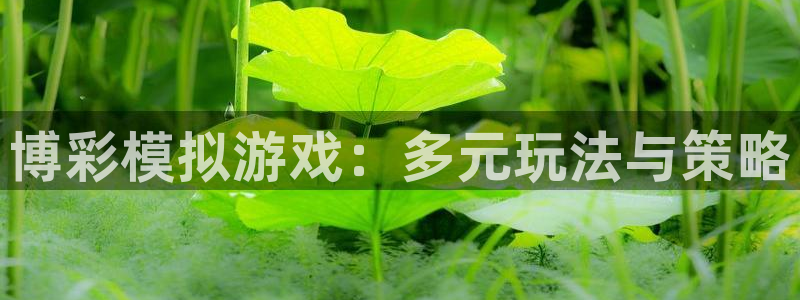 汇丰娱乐玩法：博彩模拟游戏：多元玩法与策略