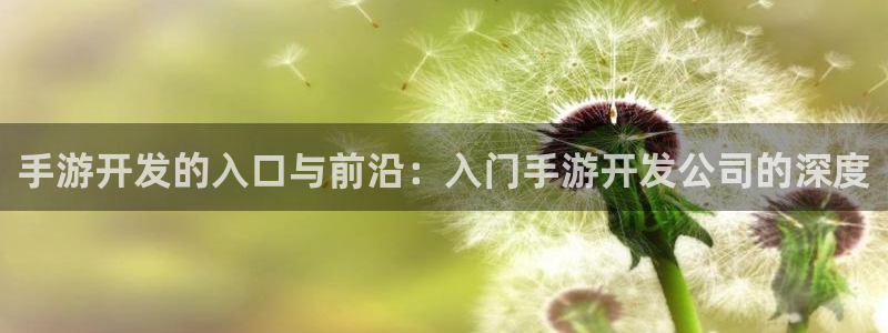 汇丰娱乐预测网：手游开发的入口与前沿：入门手游开发公司的深度