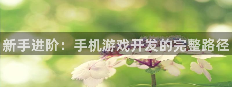pc汇丰娱乐开奖结果查询：新手进阶：手机游戏开发的完整路径