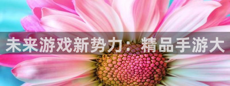 汇丰娱乐加拿大在线上分：未来游戏新势力：精品手游大