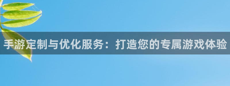 汇丰娱乐2018版：手游定制与优化服务：打造您的专属游戏体验