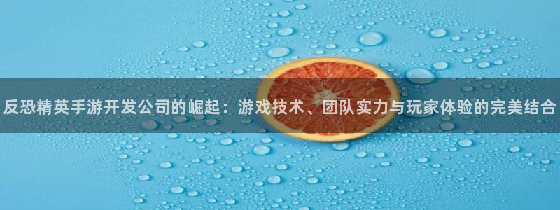汇丰娱乐安卓老版下载地址：反恐精英手游开发公司的崛起：游戏技