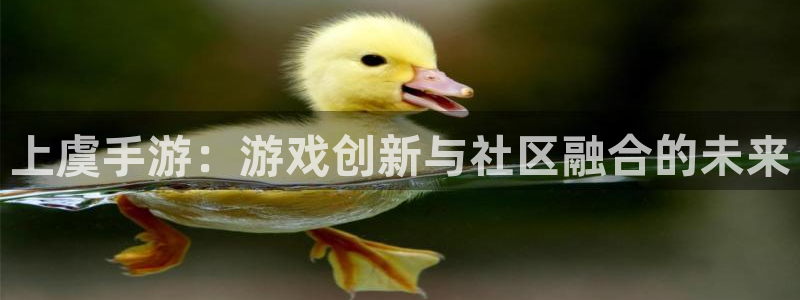 汇丰娱乐老版本的使用方法及注意事项：上虞手游：游戏创新与社区