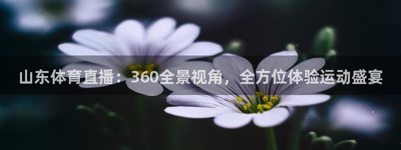 919体育直播在线观看：山东体育直播：360全景视角，全方位体验运动盛宴