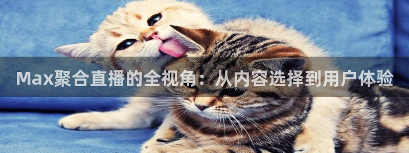 919直播吧体育：Max聚合直播的全视角：从内容选择到用户体验