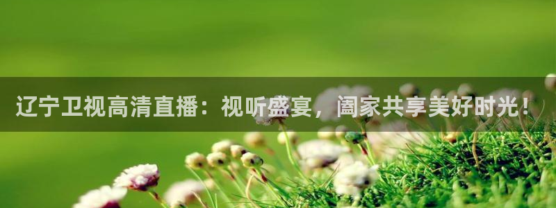 919直播平台官方网站：辽宁卫视高清直播：视听盛宴，阖家共享美好时光！