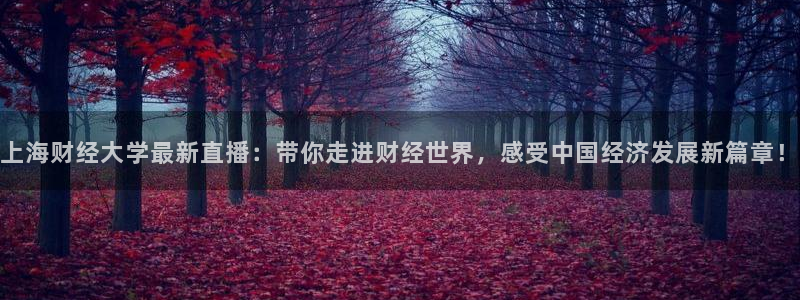 919体育直播平台：上海财经大学最新直播：带你走进财经世界，感受中国经济发展新篇章！