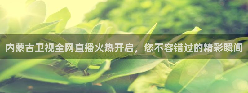 919体育专业直播平台：内蒙古卫视全网直播火热开启，您不容错过的精彩瞬间